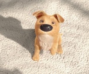 Mirada de Piojo